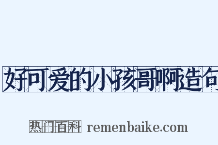 好可爱的小孩哥啊造句是什么意思的图片